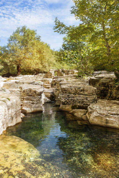 istock Upper Canyon on Okatse River 1198500510