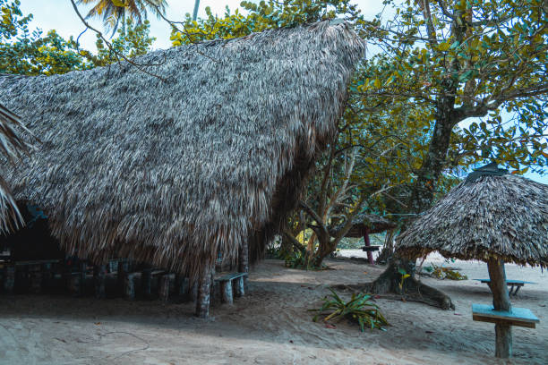 istock Cane laves roof in tropical beach 1198501277