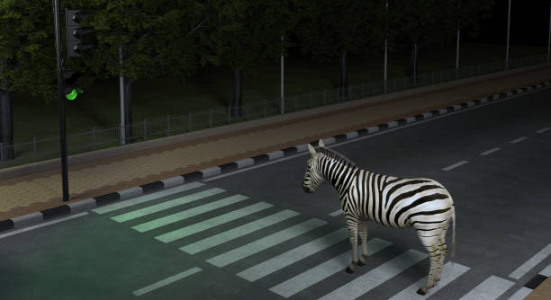 la zebra animale selvatica attraversa la strada sul marciapiede nella città notturna osservando le leggi sul traffico.  illustrazione concettuale creativa. rendering 3d - two way traffic foto e immagini stock