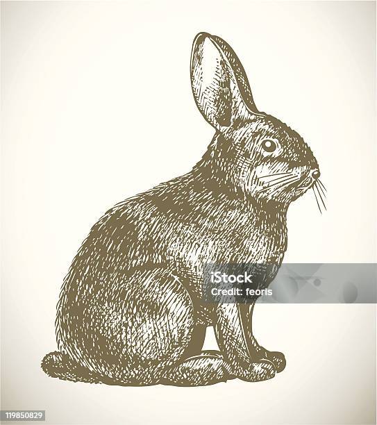 Pen And Ink Sketch Of Rabbit On White Background Stock Illustration - Download Image Now - Rabbit - Animal, Illustration, Animal