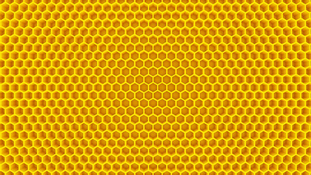 honey yellow cells honeycomb beehive hexagon background 3D illustration
