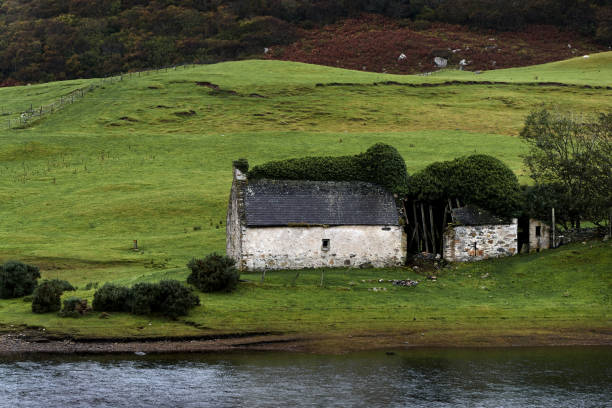 istock Old barn covered with moss and green vegetation at a river in Scotland 1198513484