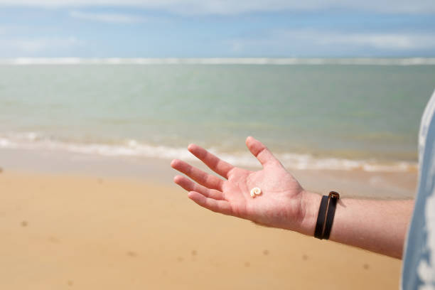 istock Spiral Shell on the palm of a men's hand 1198516539
