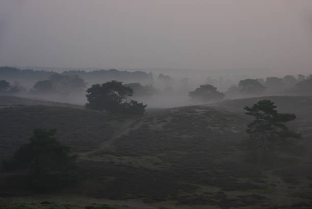 istock Glowing sunrise over the heath 1198516651