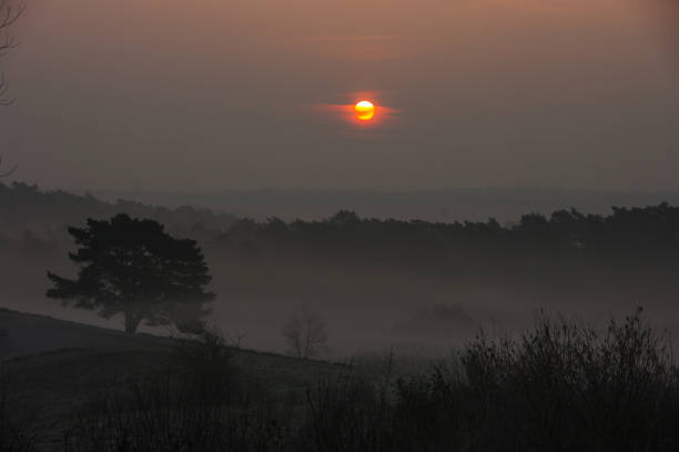 istock Glowing sunrise over the heath 1198516652
