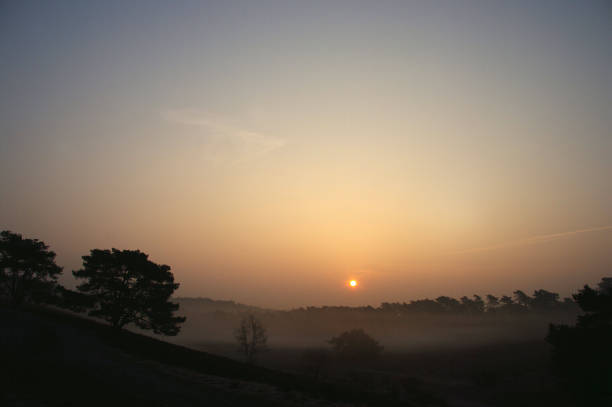 istock Glowing sunrise over the heath 1198516653