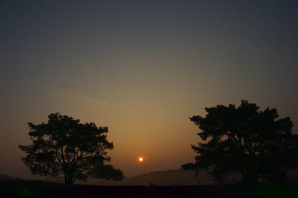 istock Glowing sunrise over the heath 1198516659