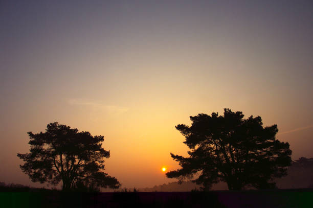 istock Glowing sunrise over the heath 1198516664