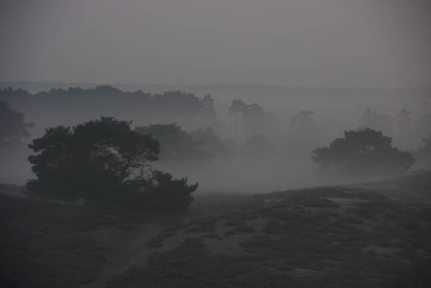 istock Glowing sunrise over the heath 1198516674