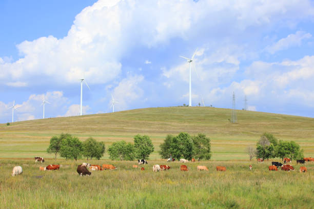 istock Horses and wind turbines in the grasslands 1198517474