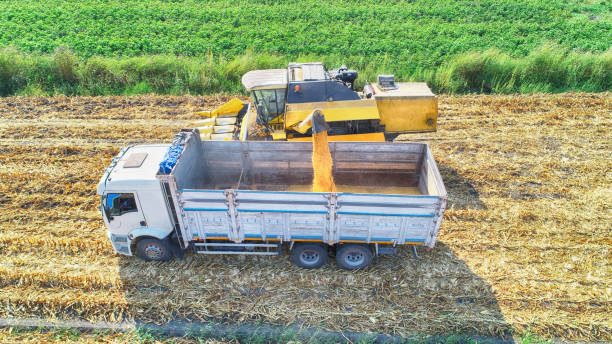 istock Aerial view of corn field during harvest 1198517709