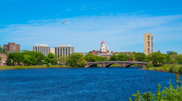 Cambridge Cambridge along Charles river with blue sky, USA cambridge massachusetts stock pictures, royalty-free photos & images