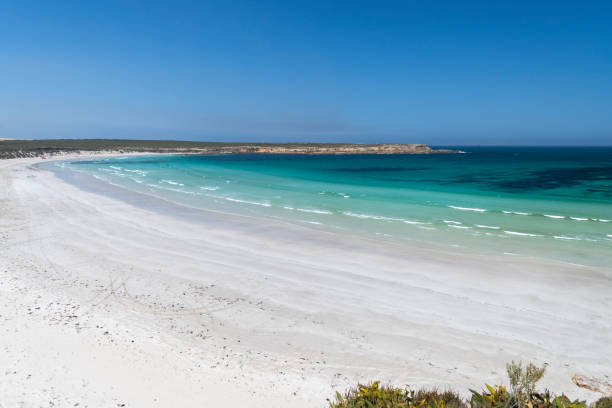 istock The Wild South Coast 1198522082