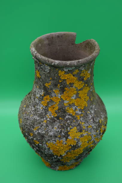 Old clay pots are covered with mold on a green background.