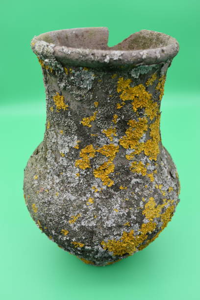 istock Old clay pots are covered with mold on a green background. 1198522223