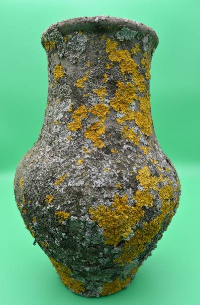 istock Old clay pots are covered with mold on a green background. 1198522225