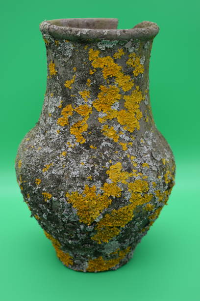 istock Old clay pots are covered with mold on a green background. 1198522233