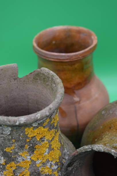 istock Old clay pots are covered with mold on a green background. 1198522236