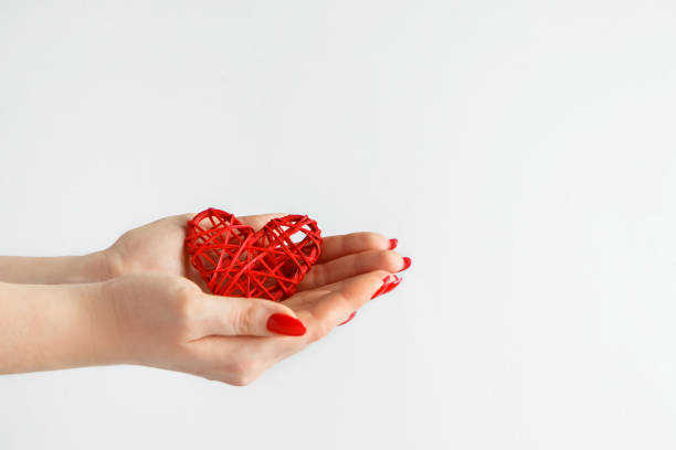 istock Hands holding a red heart on a white background. 1198526504