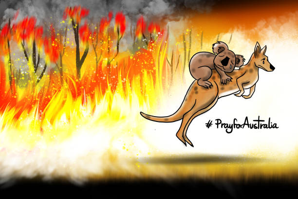 Fire storm burning surround Koala and Kangaroo, Australia Concept art - Pray for Australia. Drawn and paint about Australian bushfire in 2019. Fire storm burning surround Koala and Kangaroo but they are escape. It's effect of Global warming. joey stock illustrations