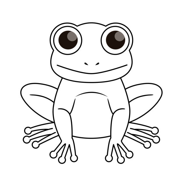векторная иллюстрация лягушки, изолированной на белом фоне. - camouflage animal frog tree frog stock illustrations
