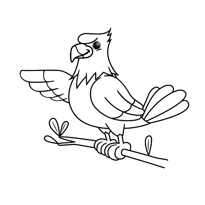 Vector illustration of hawk isolated on white background. For kids coloring book.