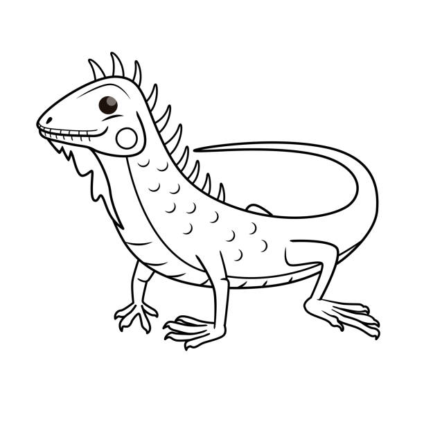 Vector Illustration Of Iguana Isolated On White Background For Kids  Coloring Book Stock Illustration - Download Image Now - iStock