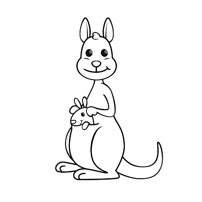 Vector Illustration Of Kangaroo Isolated On White Background For Kids ...