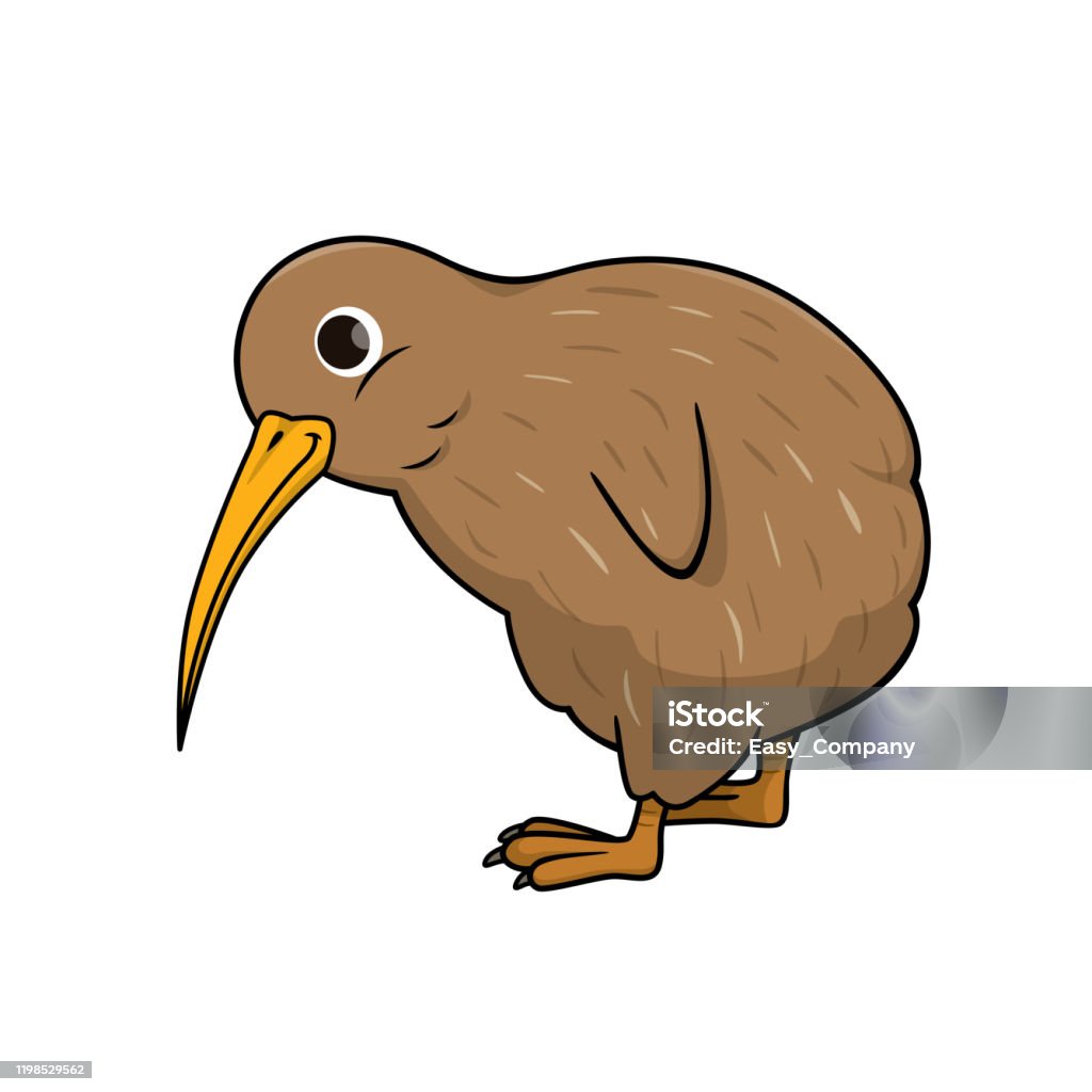 Vector Illustration Of Kiwi Bird Isolated On White Background Stock  Illustration - Download Image Now - iStock