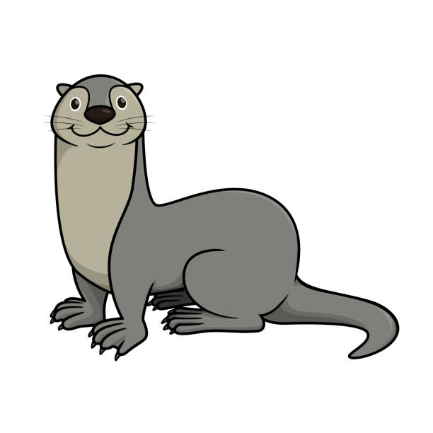 ilustrações de stock, clip art, desenhos animados e ícones de vector illustration of otter isolated on white background. - webbed foot