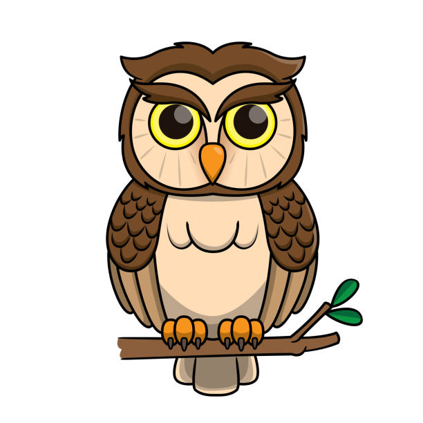 ilustrações de stock, clip art, desenhos animados e ícones de vector illustration of owl isolated on white background. - night perching owl