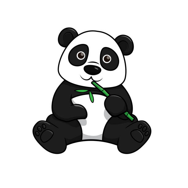 illustrazioni stock, clip art, cartoni animati e icone di tendenza di illustrazione vettoriale del panda isolato su sfondo bianco. - panda mammifero con zampe