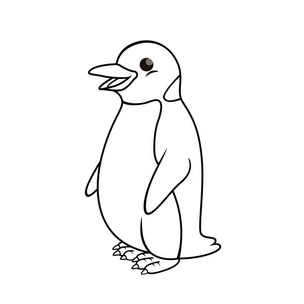 ilustrações de stock, clip art, desenhos animados e ícones de vector illustration of penguin isolated on white background. for kids coloring book. - webbed foot