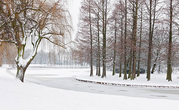 Cтоковое фото Зимний пейзаж голландского