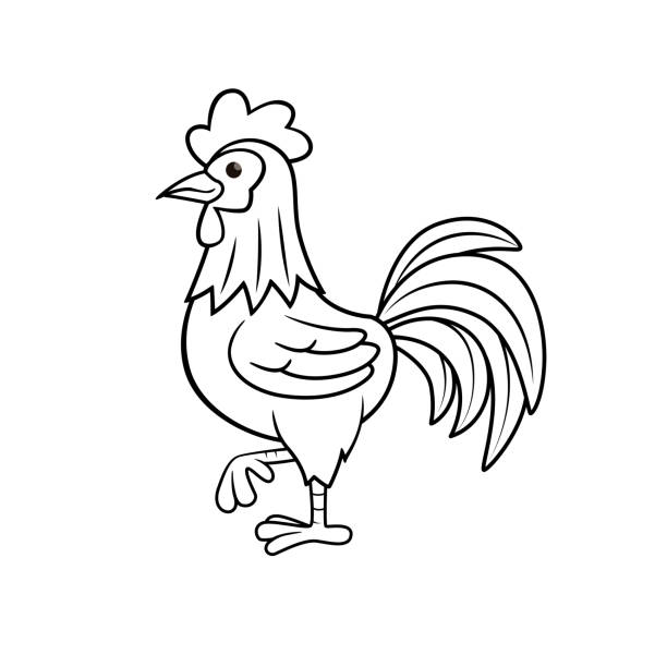 bildbanksillustrationer, clip art samt tecknat material och ikoner med vektorillustration av tupp isolerad på vit bakgrund. för barn målarbok. - allätare