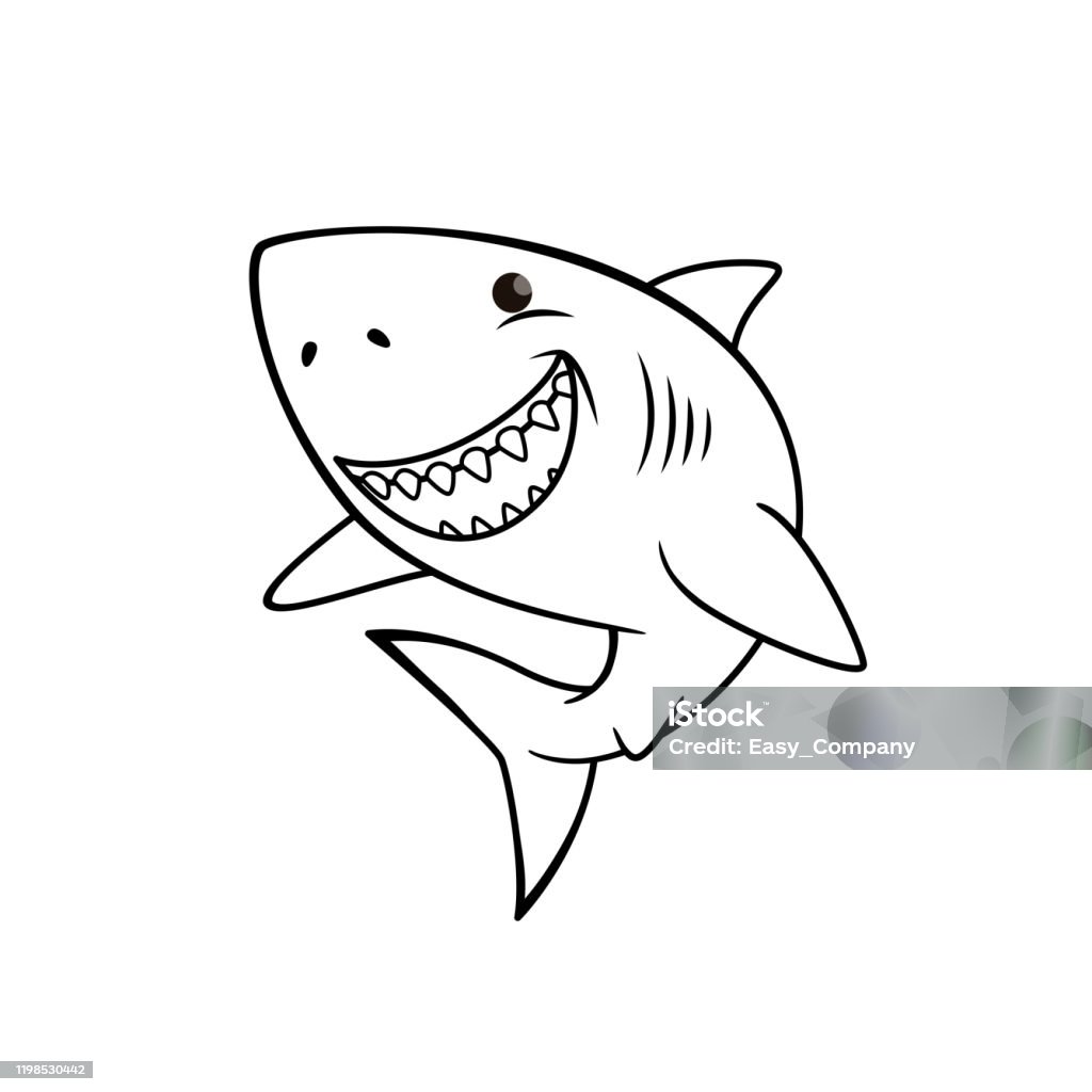 Bộ sưu tập hình vẽ cá mập dễ thương siêu đẳng với hơn 999 tác phẩm ...