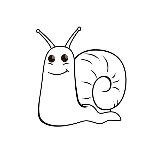 wektorowa ilustracja ślimaka izolowanego na białym tle. dla dzieci kolorowanka. - snail isolated white white background stock illustrations