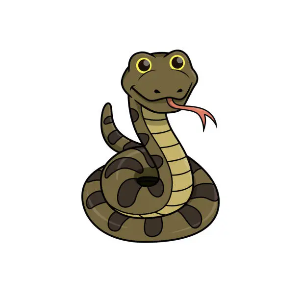 Vector illustration of Vector illustration of snake isolated on white background.