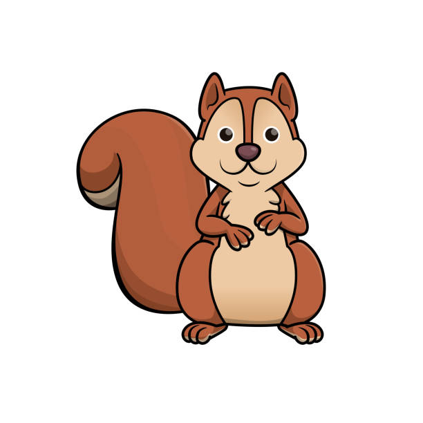 vektor-illustration des eichhörnchens isoliert auf weißem hintergrund. - streifenhörnchen stock-grafiken, -clipart, -cartoons und -symbole