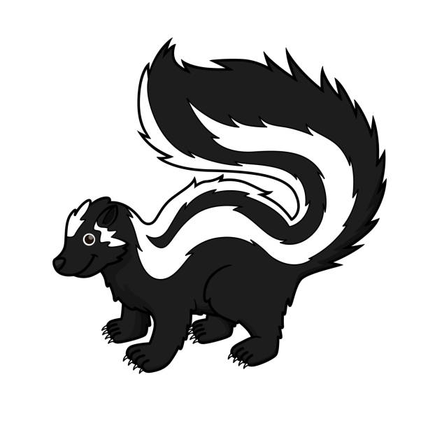 흰색 배경에 격리 된 조릴라의 벡터 그림입니다. - skunk stock illustrations