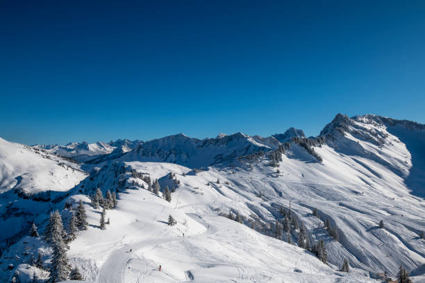 istock View to a beautiful snowy mountain range 1198532401