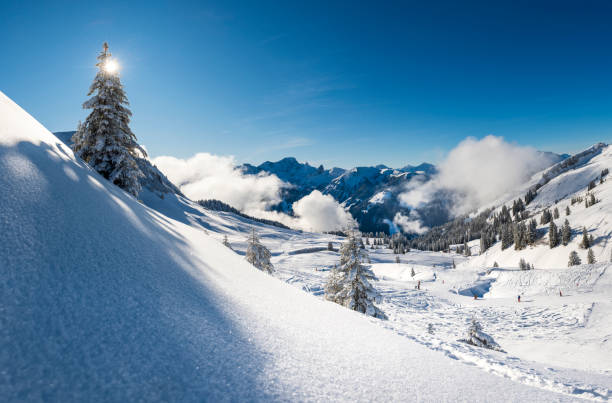 istock Panorama of the Alps at winter 1198532405