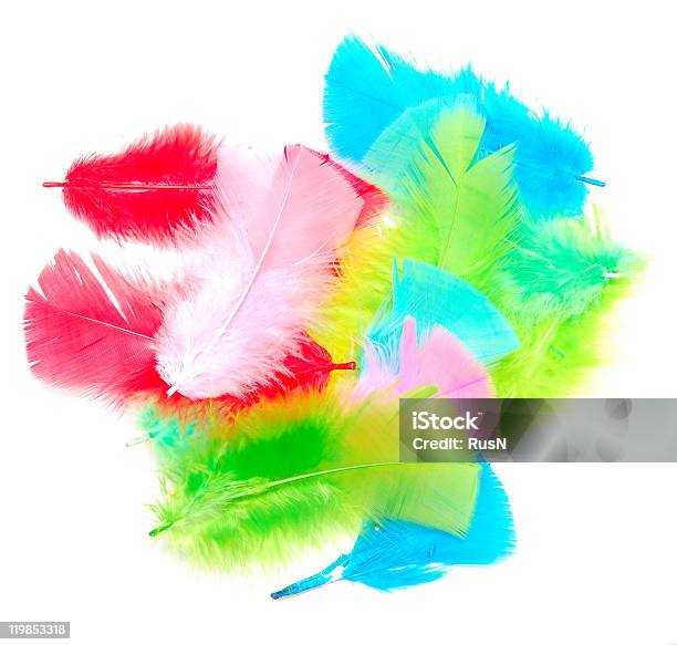 Feathers Stock Photo - Download Image Now - Animal Wildlife, Beauty In Nature, Bird