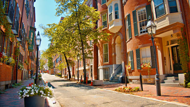 narrow street w bostonie. drzewo. wschód słońca. stary dom mieszkalny - boston massachusetts new england tree zdjęcia i obrazy z banku zdjęć