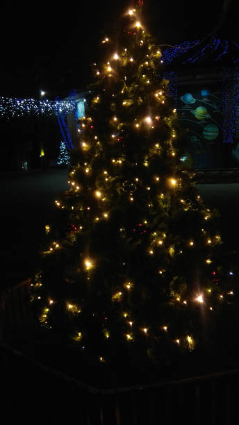 istock Artificial Christmas tree in a public park at night. 1198537856