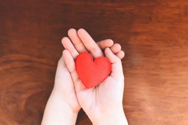 Photo of heart in hand for philanthropy concept - woman holding red heart on hands for valentines day or donate help give love warmth take care with wooden background