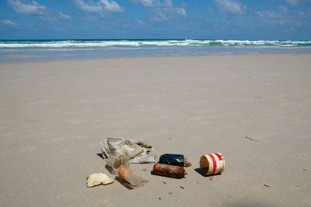 istock Garbage and chemical cans are collected and put together at a beach. 1198546586