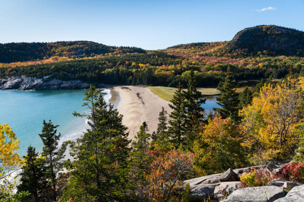 istock Fall colors, mountains, and a sandy beach in Acadia National Park 1198547293