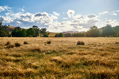 Shooting Landscape in Melbourne VIC, In Australia