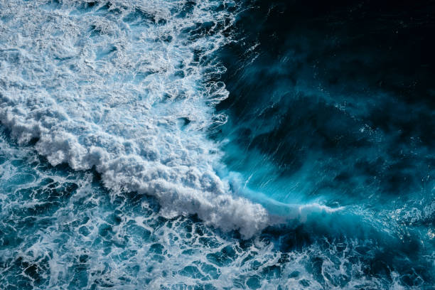 istock Aerial view to ocean waves. Blue water background 1198555436